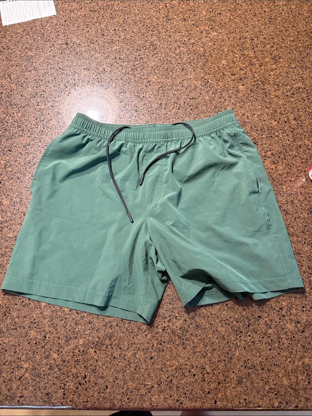 Chubbies 5.5 inseam shorts